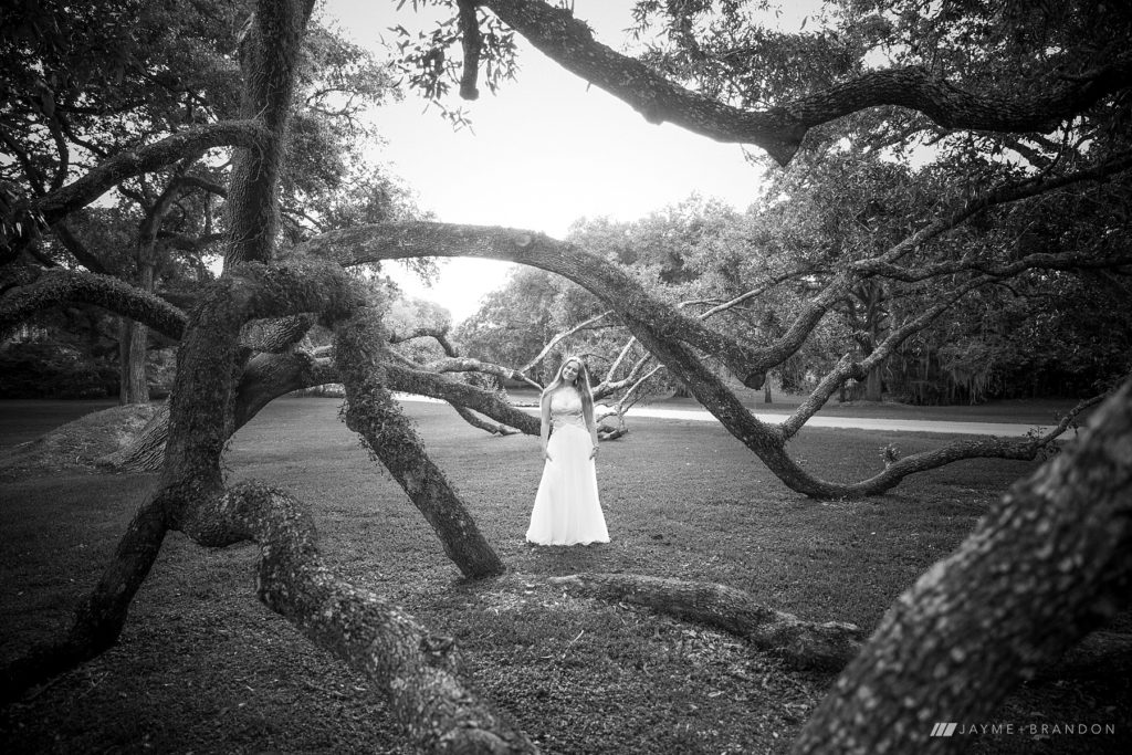 Southern Oak tree Senior Photos
in Louisiana
