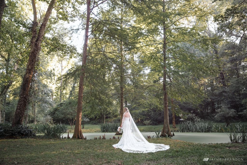 Bridal photos in a Louisiana swamp